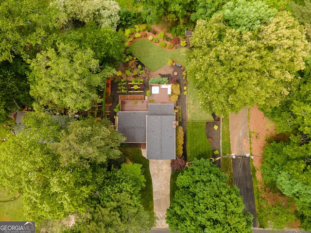 bird's eye view