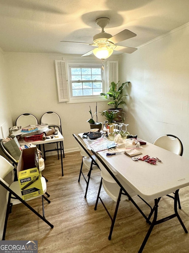 dining room with ceiling fan and wood finished floors