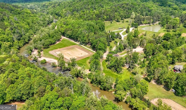bird's eye view with a view of trees and a water view