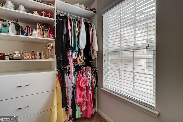 5601 Savannah River Rd, Atlanta, GA 30349 - walk in closet with carpet