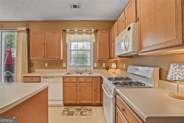 238 Diamond Valley Pass, Canton, GA 30114 - kitchen with a sink, a textured ceiling, a healthy amount of sunlight, and white appliances