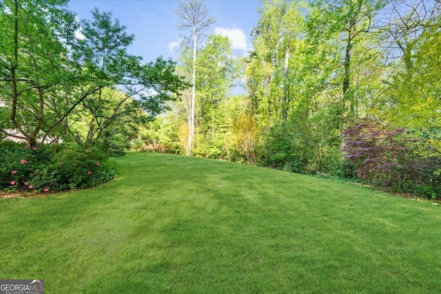 45 Michelle Cir NE, Atlanta, GA 30342 - view of green lawn