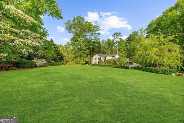 45 Michelle Cir NE, Atlanta, GA 30342 - view of green lawn