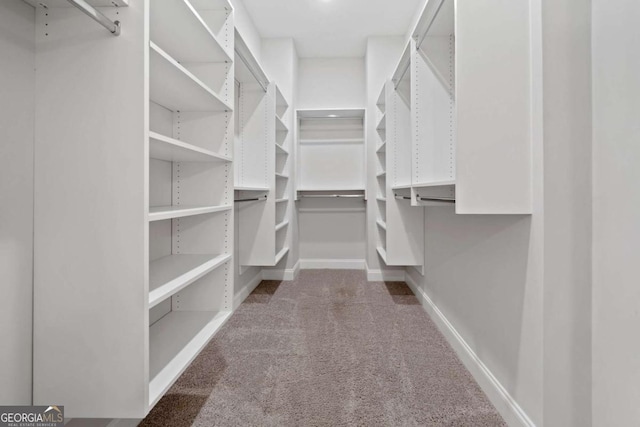 walk in closet featuring carpet floors
