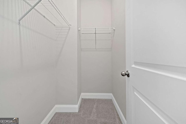 walk in closet featuring carpet flooring