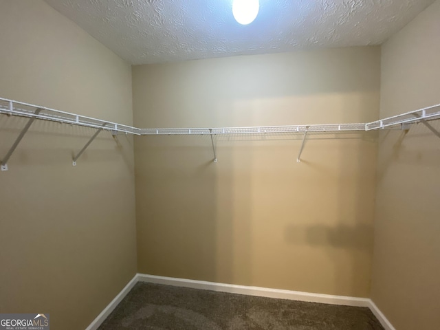spacious closet with carpet