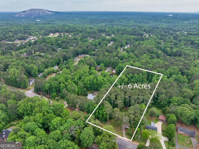 aerial view featuring a forest view