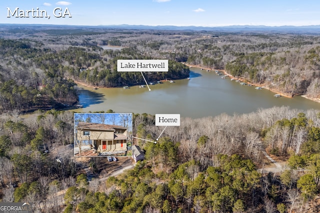 drone / aerial view featuring a water view and a view of trees