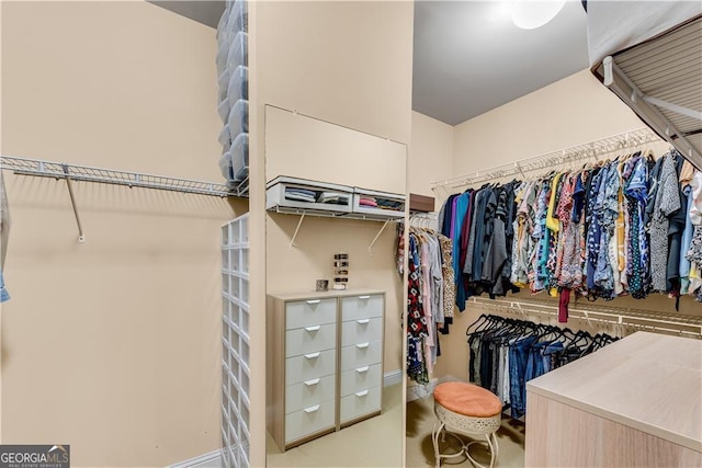 view of spacious closet
