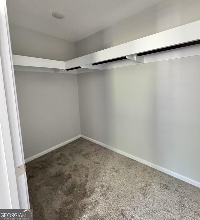 walk in closet with carpet
