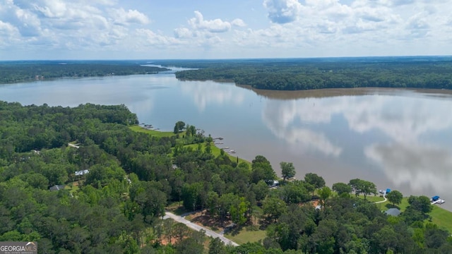 1601 Arrowhead Rd, Greensboro, GA 30642 - birds eye view of property featuring a water view and a forest view