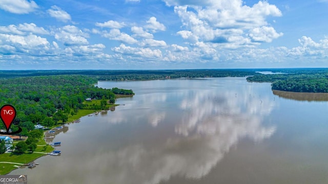 1601 Arrowhead Rd, Greensboro, GA 30642 - water view featuring a view of trees
