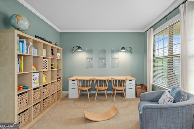 carpeted office with crown molding