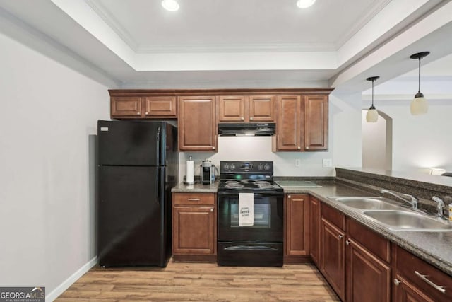 kitchen with a sink, light wood-style floors, under cabinet range hood, a tray ceiling, and black appliances