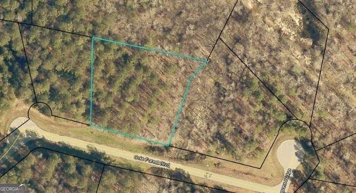 LOT112 Cole Forest Blvd Lot 112, Barnesville, GA 30204