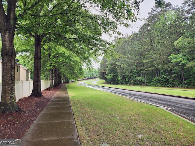 171 Nacoochee Way, Canton, GA 30114 - view of road