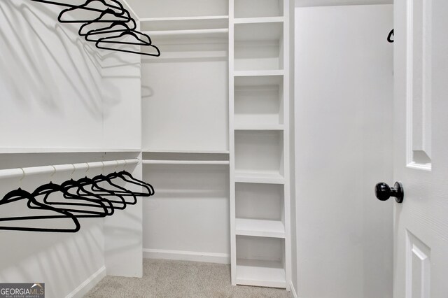 spacious closet with carpet