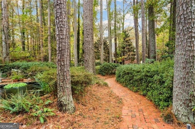 769 Hampton Pl SW, Marietta, GA 30064 - view of yard