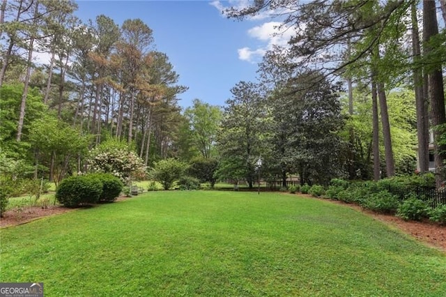 769 Hampton Pl SW, Marietta, GA 30064 - view of yard