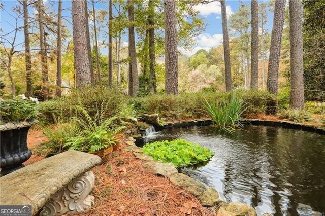 769 Hampton Pl SW, Marietta, GA 30064 - view of yard