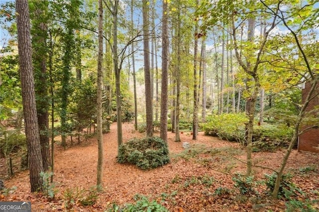 769 Hampton Pl SW, Marietta, GA 30064 - view of local wilderness