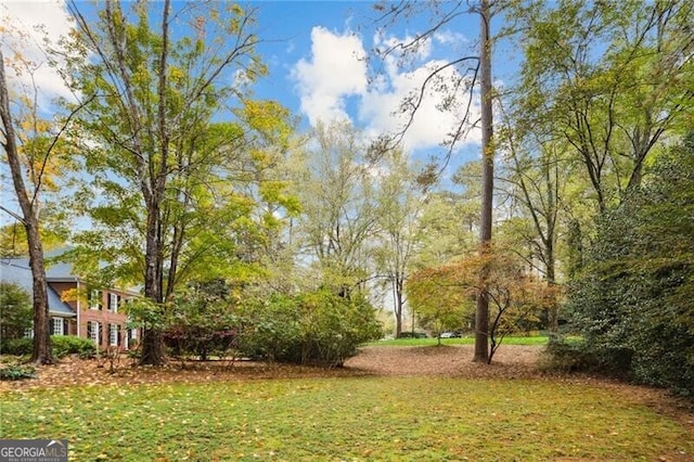 769 Hampton Pl SW, Marietta, GA 30064 - view of yard