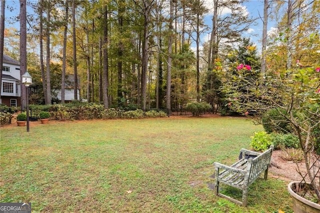 769 Hampton Pl SW, Marietta, GA 30064 - view of yard