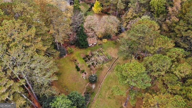 769 Hampton Pl SW, Marietta, GA 30064 - drone / aerial view