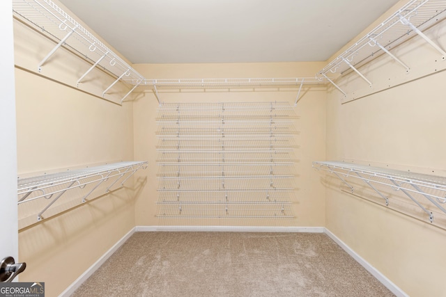 3845 New Salem Ct, Cumming, GA 30040 - spacious closet with carpet