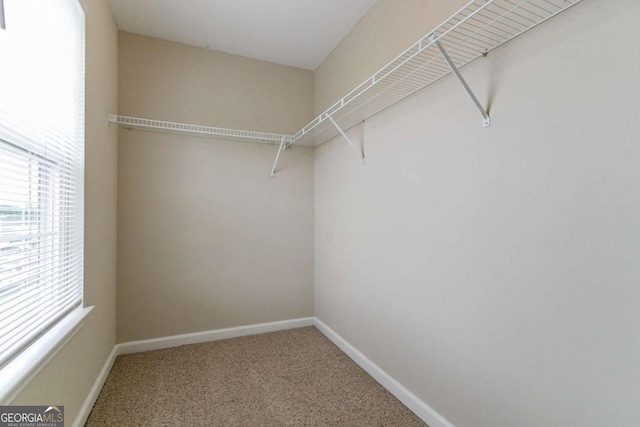 4870 Heather Mill Trce, Snellville, GA 30039 - walk in closet featuring carpet floors