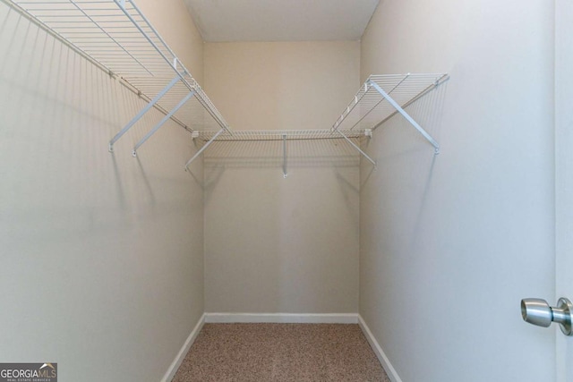 4870 Heather Mill Trce, Snellville, GA 30039 - walk in closet featuring carpet