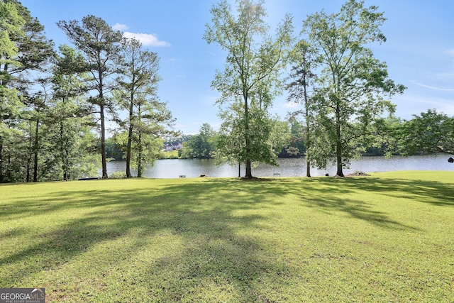 view of yard with a water view