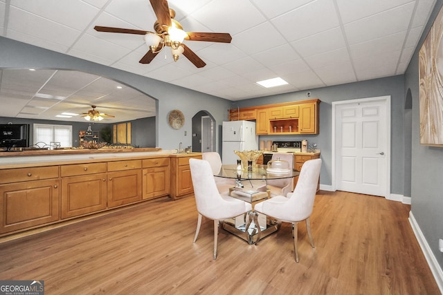 dining area featuring a ceiling fan, arched walkways, a drop ceiling, and light wood-type flooring