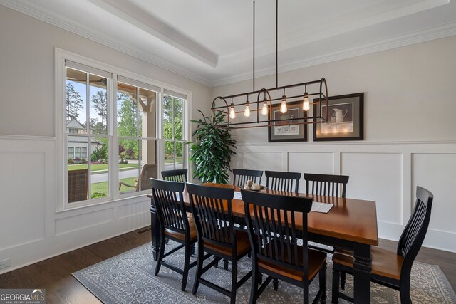 3024 Malbec Vly, Acworth, GA 30101 - dining space featuring a decorative wall, dark wood-type flooring, crown molding, a raised ceiling, and wainscoting