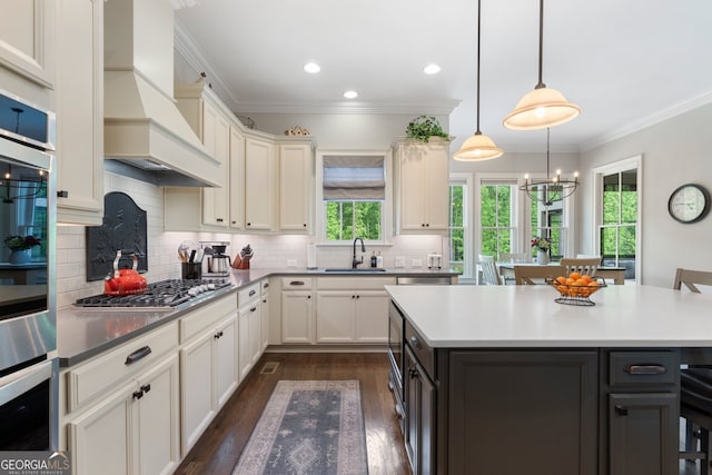 kitchen featuring premium range hood, appliances with stainless steel finishes, tasteful backsplash, dark wood-style floors, and a sink