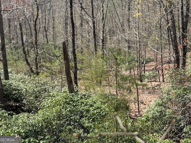 0 Highland Forest Rd Unit 2, Cleveland, GA 30528
