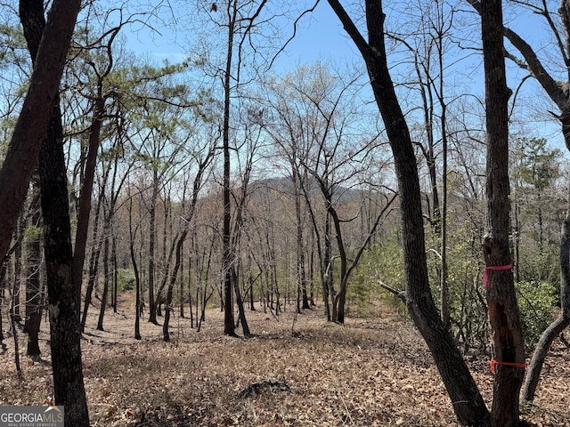 0 Highland Forest Rd Unit 2, Cleveland, GA 30528