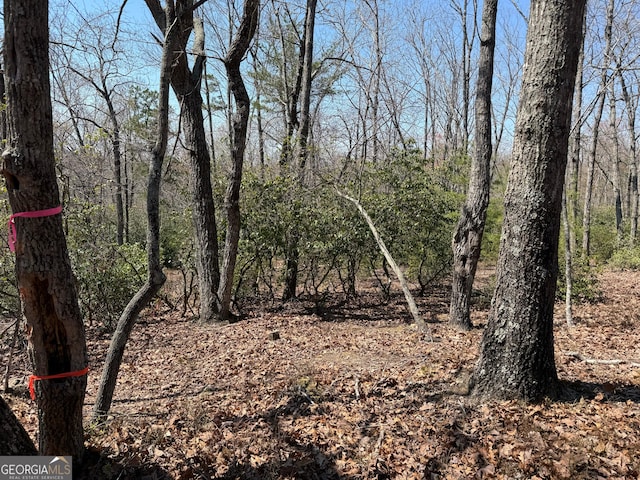 0 Highland Forest Rd Unit 2, Cleveland, GA 30528