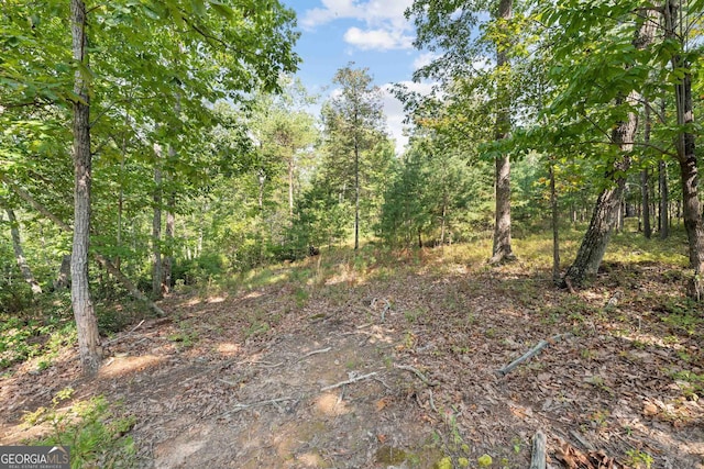 0 Highland Forest Rd Unit 2, Cleveland, GA 30528