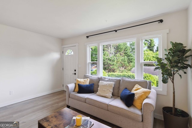 living area with baseboards, wood finished floors, and a wealth of natural light