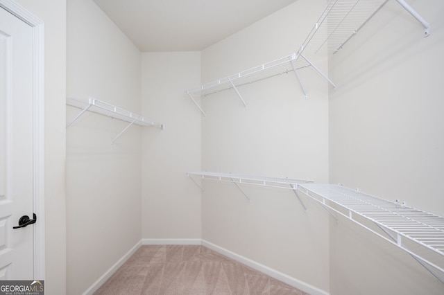 6732 Chimney Ridge Ct, Hoschton, GA 30548 - walk in closet with carpet flooring
