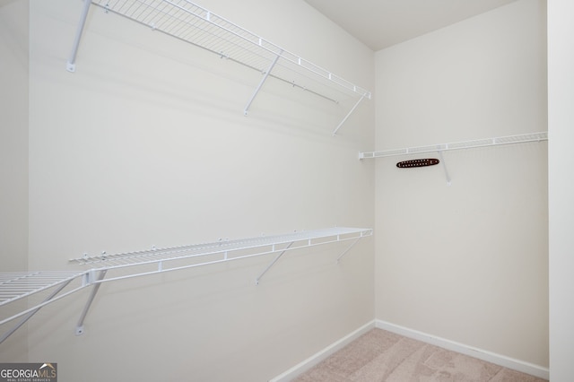 6732 Chimney Ridge Ct, Hoschton, GA 30548 - walk in closet featuring carpet floors