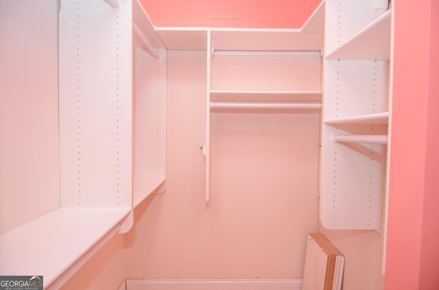 view of spacious closet