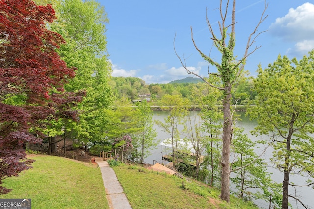 property view of water