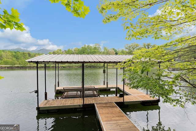 dock area featuring a water view
