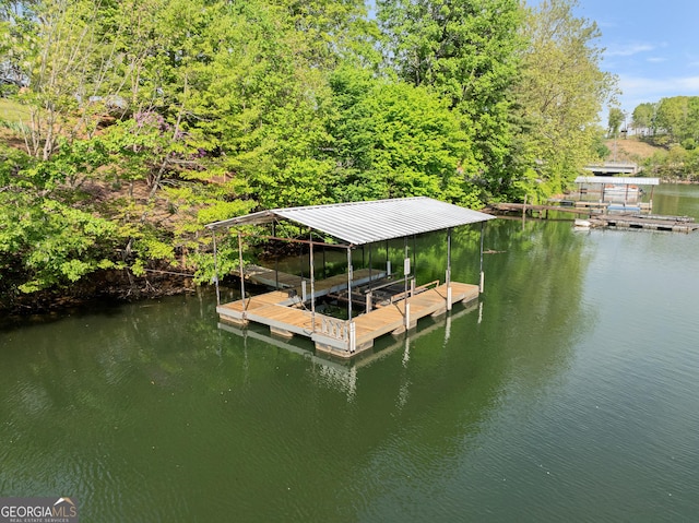 dock area with a water view