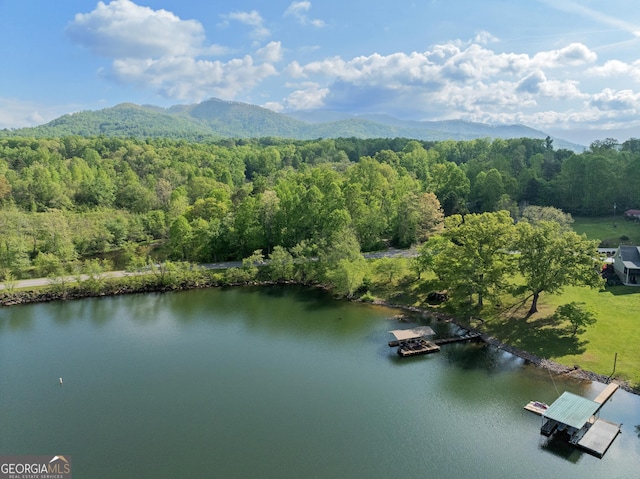 drone / aerial view featuring a water and mountain view and a forest view