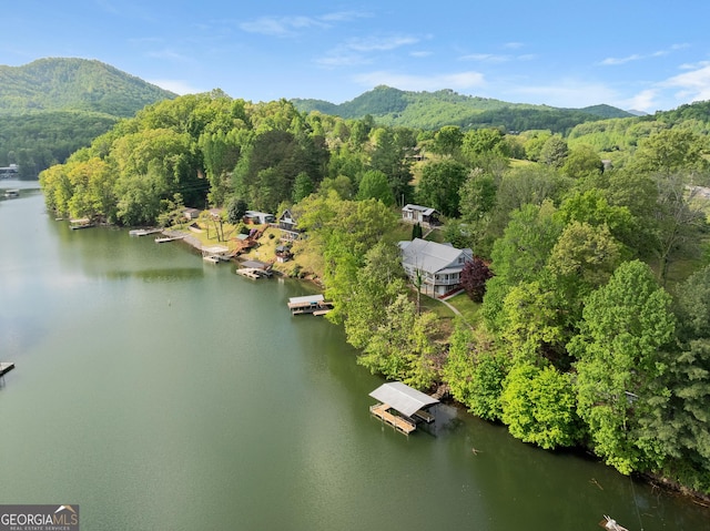 birds eye view of property featuring a water and mountain view and a forest view