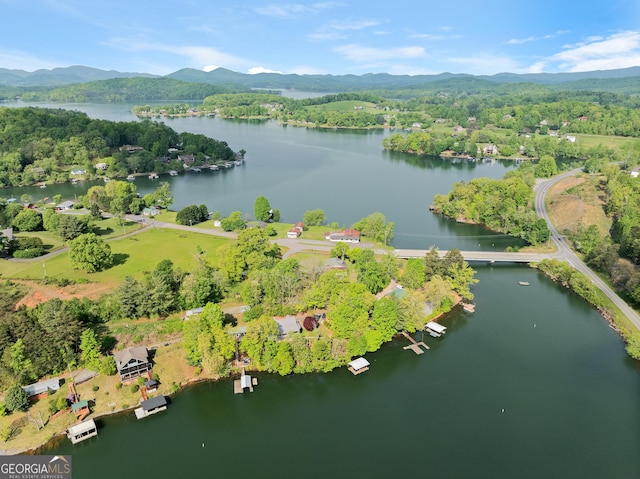 birds eye view of property with a water and mountain view
