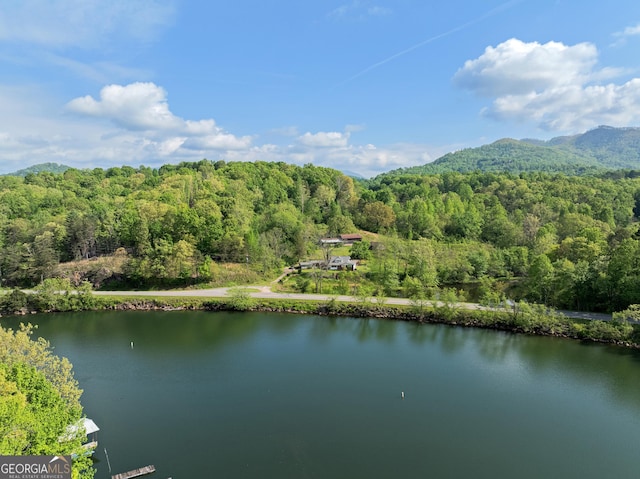 birds eye view of property featuring a wooded view and a water and mountain view